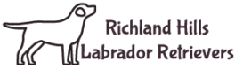 Richland Hills Labrador Retrievers